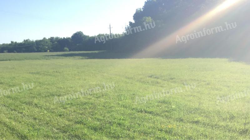 Kiadó termőföld Debrecen-Nagycsere és Haláp