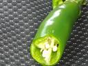Savanyításra alkalmas paprika eladó!