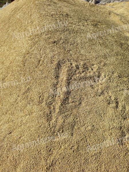 Hat soros árpa fémzárolt vetőmag termése eladó