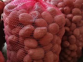 Desiree ültetni való burgonya eladó