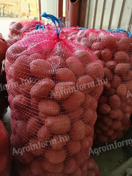 Desiree ültetni való burgonya eladó