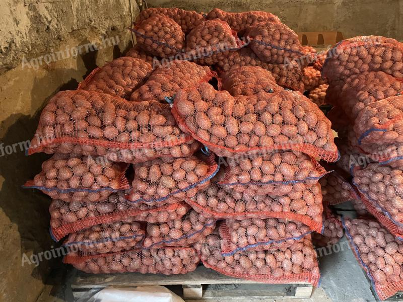 Essme vető méretű burgonya