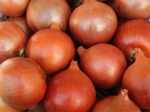 Akciós vöröshagyma eladó