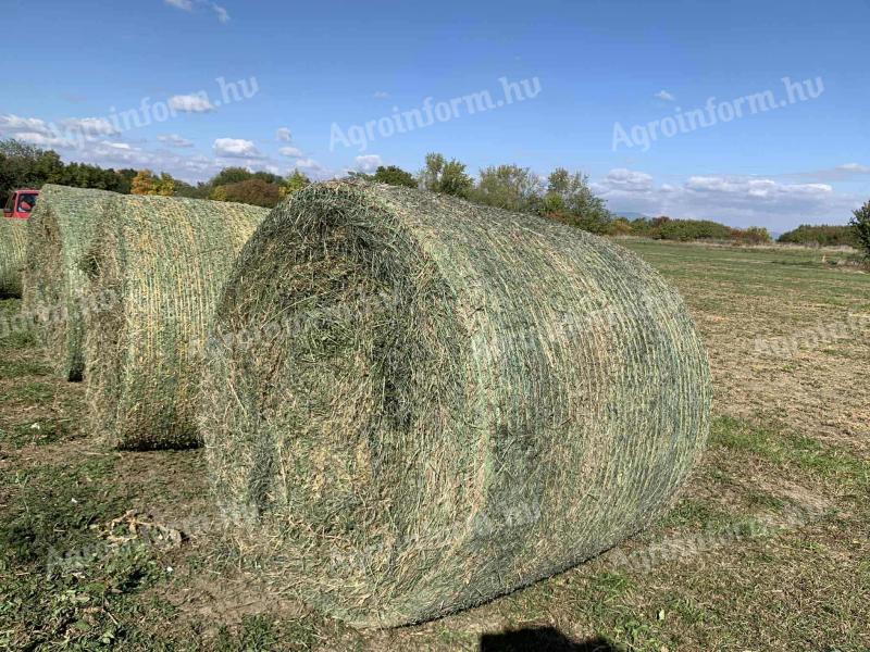 Eladó körbálás lucerna,  idei utolsó kaszálás