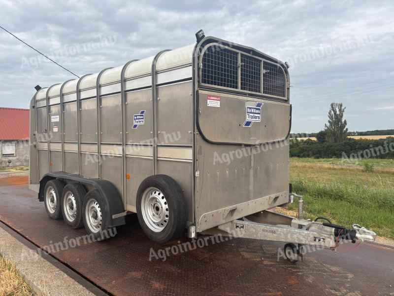 Állatszállító utánfutó eladó – Ifor Williams, használt, kiváló állapotban