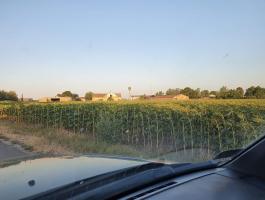 Támogatás igénylésre alkalmas 6 Ha-os mezőgazdasági ingatlan,  major eladó JNSzolnok VM-ben