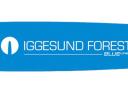 Iggesund BL2700-75