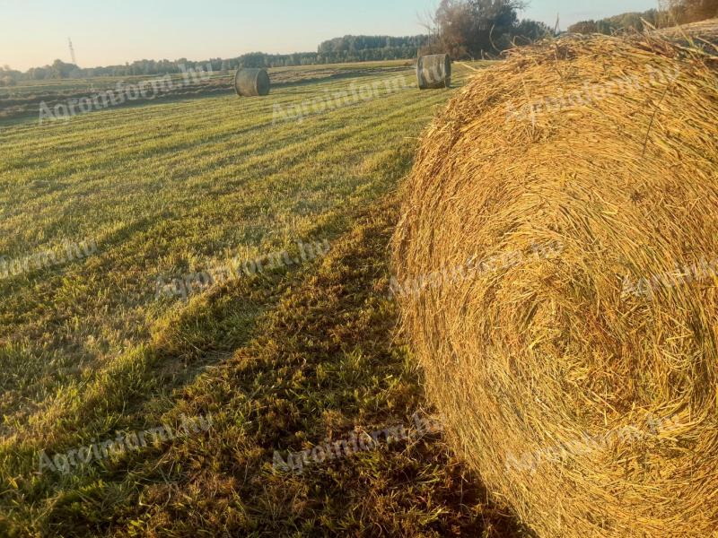 Széna, fűszéna, rétiszéna eladó