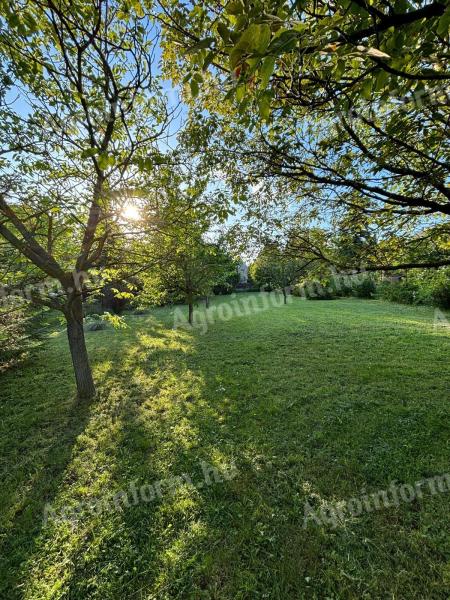 Pilisszántón Placskón két szomszédos telek eladó