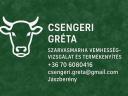 Szarvasmarha inszeminátor