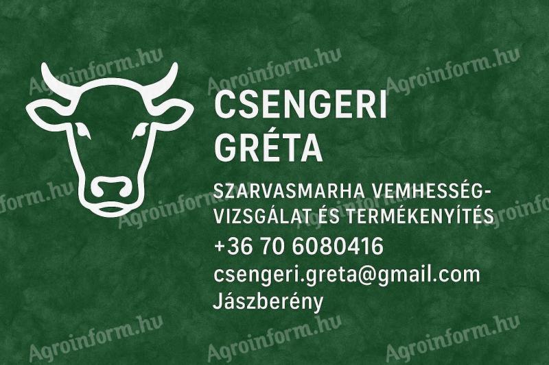 Szarvasmarha inszeminátor