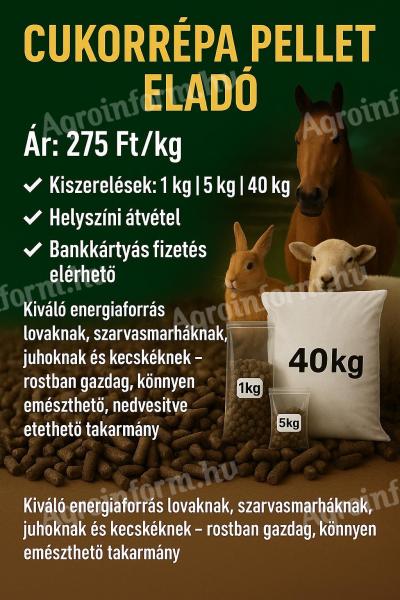 Minőségi cukorrépa pellet eladó – takarmányozásra, háziállatoknak