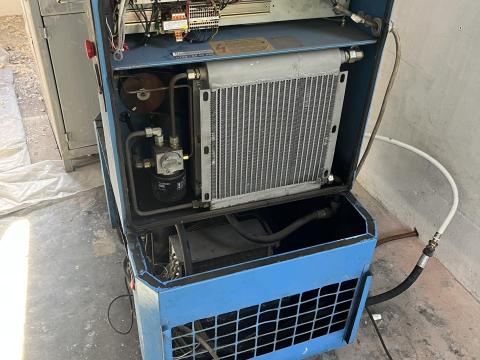 Fokhagyma tisztító gép eladó