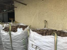 Takarmány burgonya eladó