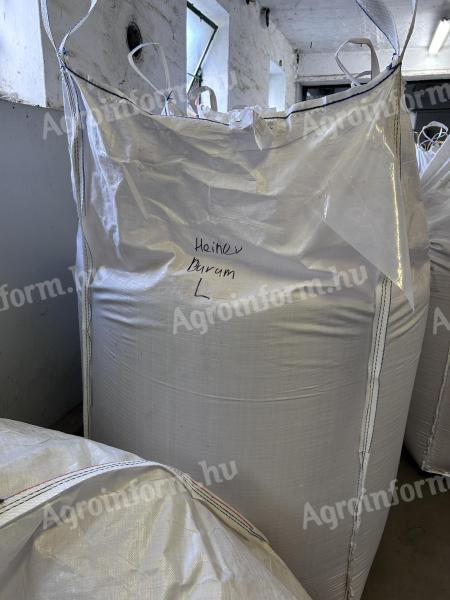 Őszi Durum vetőmag (limbodur)