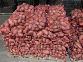 Eladó Esmee étkezési burgonya – kiváló minőség többféle kiszerelésben