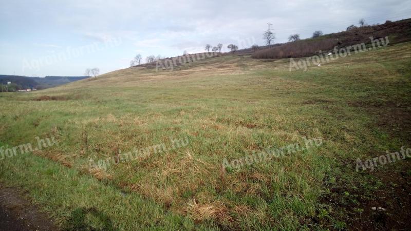 Eladó legelő 42 ha