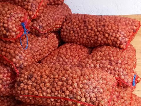 Papírhéjú héjas dió eladó Papírhéjú héjas dió eladó