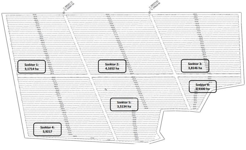 Szuper modern 20 ha-os termő korú mandula ültetvény eladó