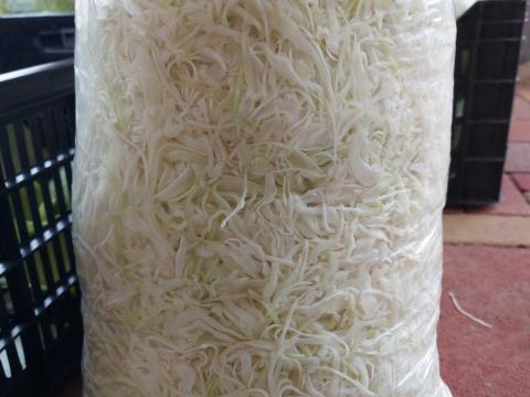 Gyalult káposzta eladó Gyalult káposzta eladó