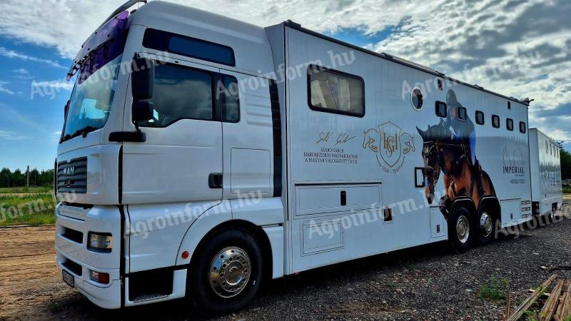 Lószállítás és élőállat szállítás belföldön és nemzetközileg