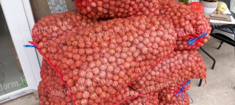 Papírhéjú héjas dió eladó
