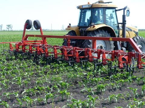 ABK 012 típusú, 12 soros kultivátor házhozszállítással, 2 év garanciával