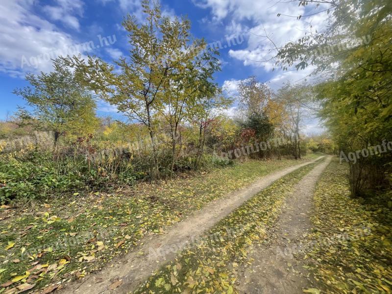 Eladó telek Őrbottyán és Erdőkertes határán: tökéletes választás tanyának, mezőgazdasági tevékenységre vagy befektetésnek
