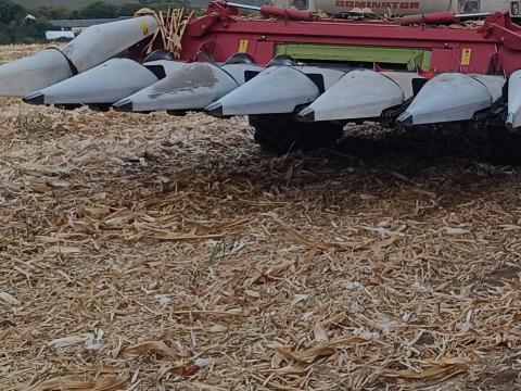 Oros Uni 4+2 orrzúzós csukható kukorica adapter eladó Oros Uni 4+2 orrzúzós csukható kukorica adapter eladó