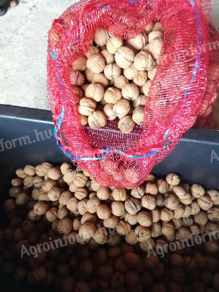 Eladó idei Milotai M10 héjas dió, szárított, papírhéjú, kiváló minőség