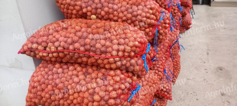 Papírhéjú Milotai 10 héjas dió eladó