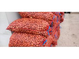 Papírhéjú Milotai 10 héjas dió eladó