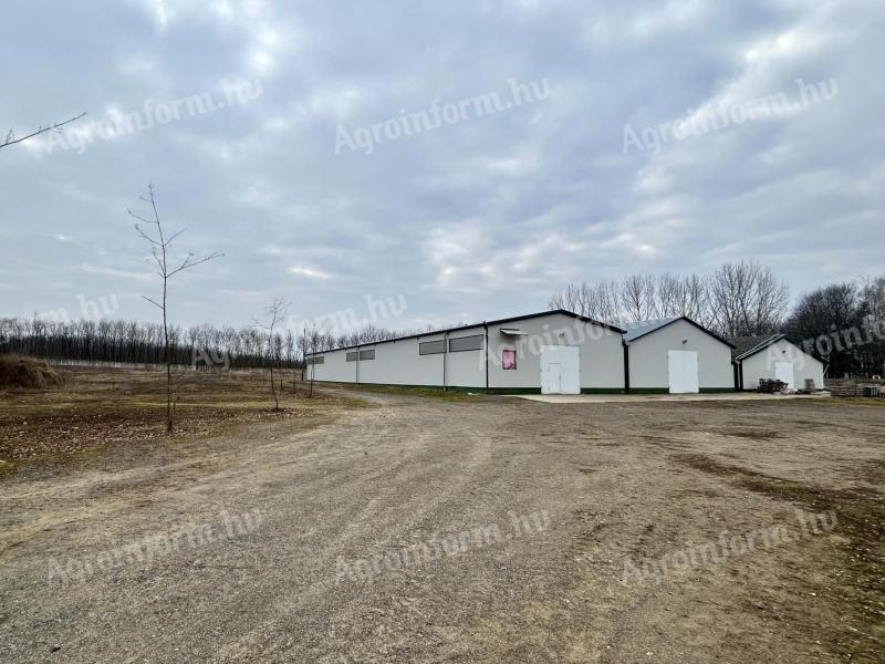 TELEPHELY,  3 csarnokkal ELADÓ,  Balkányban