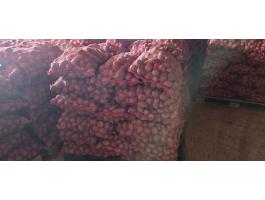 Desiree burgonya nagy tételben eladó