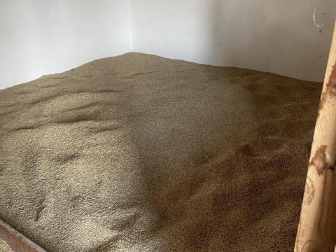 Őszi árpa eladó – 2025. évi kiváló minőségű termés Őszi árpa eladó – 2025. évi kiváló minőségű termés