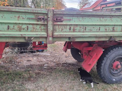 IFA HL 6002 fixes pótkocsi eladó