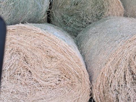 Eladó lucernabála – jó minőségű, zölden száradt, tető alatt tárolt Eladó lucernabála – jó minőségű, zölden száradt, tető alatt tárolt