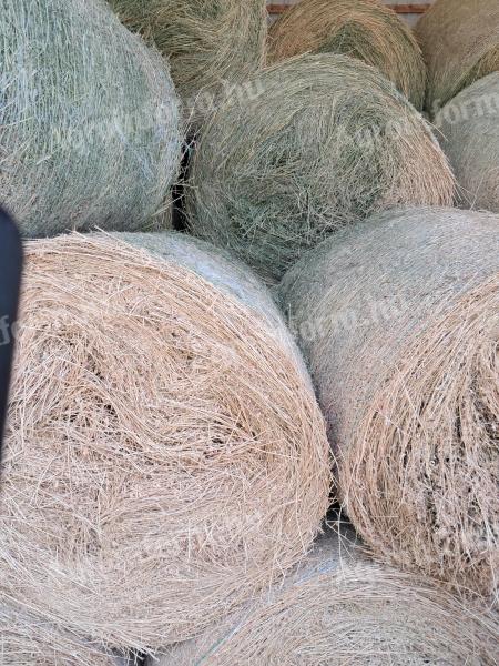 Eladó lucernabála – jó minőségű, zölden száradt, tető alatt tárolt