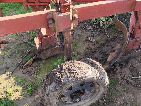 Lajta eke eladó Lajta eke eladó