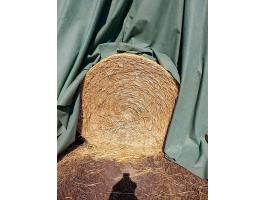 Eladó szalma körbála, jó minőségű búzaszalma