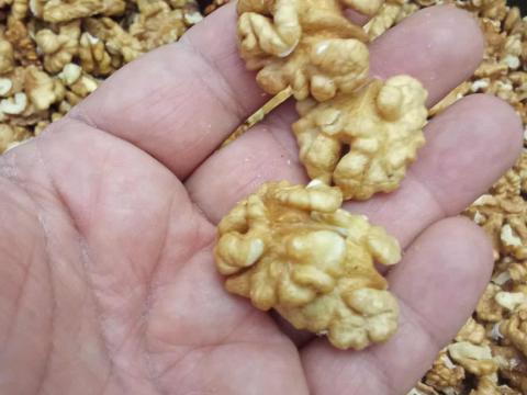 Eladó idei pucolt dióbél, postázás lehetséges Eladó idei pucolt dióbél, postázás lehetséges