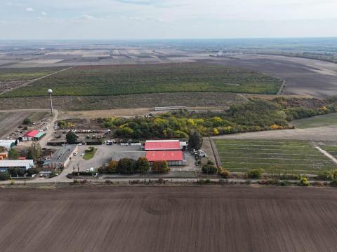 290 HEKTÁROS GAZDASÁG (TANYA/BIRTOK),  ELADÓ INGATLAN EU-ÁLLAMPOLGÁROK SZÁMÁRA /290 ha a Kft. saját tulajdonát képezi/