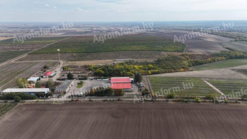 KÜLFÖLDIEK ÁLTAL IS AZONNAL MEGVÁSÁROLHATÓ /285 ha Kft. saját tulajdonát képező/ BIRTOK ELADÓ