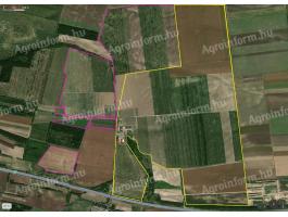 KÜLFÖLDIEK ÁLTAL IS AZONNAL MEGVÁSÁROLHATÓ /285 ha Kft. saját tulajdonát képező/ BIRTOK ELADÓ
