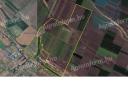 KÜLFÖLDIEK ÁLTAL IS AZONNAL MEGVÁSÁROLHATÓ /285 ha Kft. saját tulajdonát képező/ BIRTOK ELADÓ