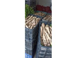 Petrezselyem gyökér ès sárgarépa eladó