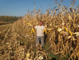 PK-001 Organikus Kukorica előrendelési AKCIÓ