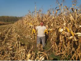 PK-001 Organikus Kukorica előrendelési AKCIÓ