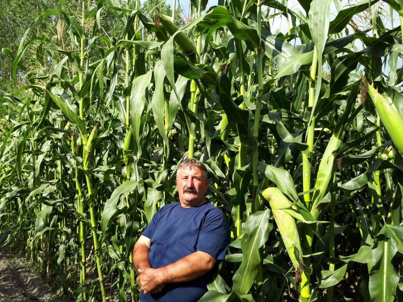 PK-002 Organikus Kukorica előrendelési AKCIÓ! - Rekordereknek