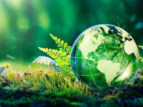 Biogáz üzemek szagtalanítása és villamosenergia-termelés